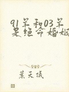 91羊和03羊是绝命婚姻吗