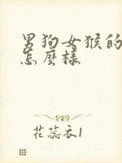 男狗女猴的婚配怎么样