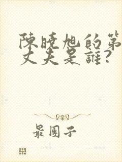 陈晓旭的第一任丈夫是谁?