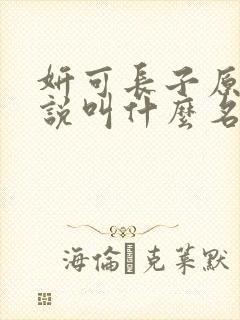 妍可长子原著小说叫什么名字