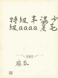 特级丰满少妇一级aaaa爰毛气