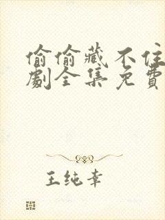 偷偷藏不住电视剧全集免费观看在线