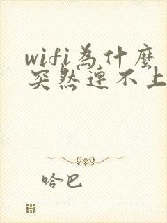 wifi为什么突然连不上了