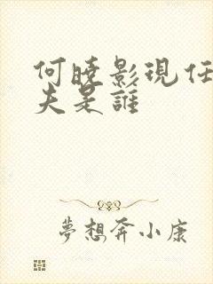 何晓影现任的丈夫是谁封面