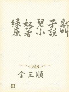 绿奴儿子献大宇原著小说叫什么名字