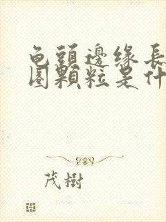 龟头边缘长了一圈颗粒是什么