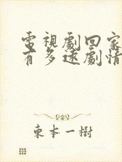 电视剧回家的路有多远剧情封面