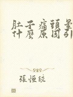 肚子痛头晕呕吐什么原因引起的