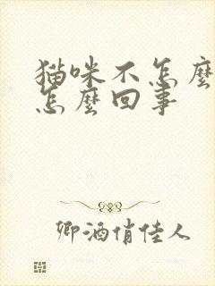 猫咪不怎么拉尿怎么回事