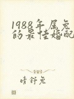 1988年属兔的最佳婚配属相封面