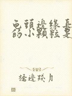 龟头边缘长白色的小颗粒是什么封面