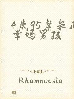 4岁95厘米正常吗男孩