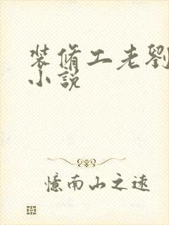 装修工老刘林雪小说