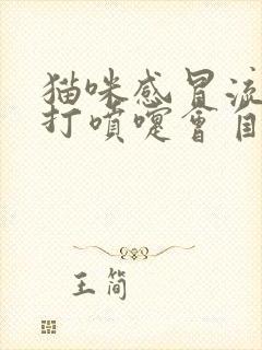 猫咪感冒流鼻涕打喷嚏会自愈吗