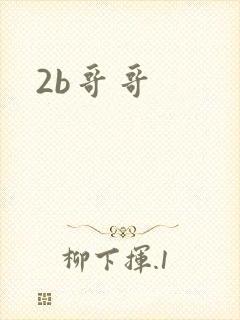 2b哥哥