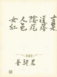 女人阴道有出现红色疙瘩是怎么回事封面