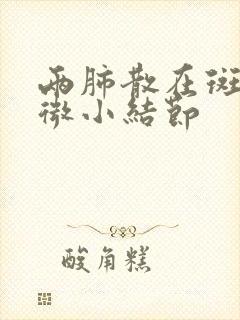 两肺散在斑点及微小结节