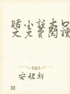 赌小说木口银全文免费阅读笔趣阁