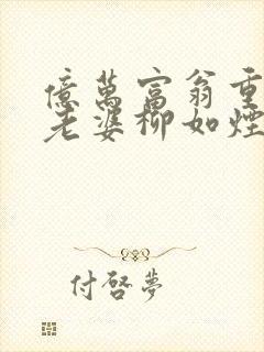 亿万富翁重生,老婆柳如烟的小说