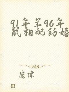 91年羊96年鼠相配的婚姻好吗