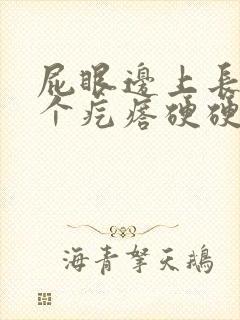 屁眼边上长了一个疙瘩硬硬的疼