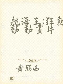 航海王:狂热行动 动画片