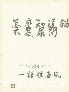 怎么知道猫咪是不是尿闭