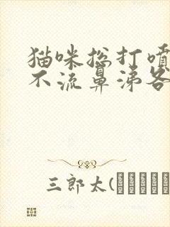 猫咪总打喷嚏但不流鼻涕各个方面都挺好封面