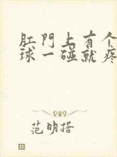 肛门上有个小肉球一碰就疼