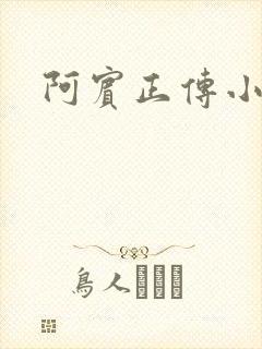 阿宾正传小说