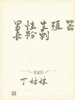 男性生殖器外皮长粉刺