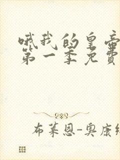 哦我的皇帝陛下第一季免费看