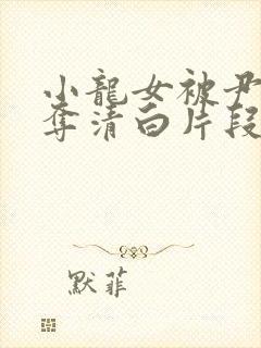 小龙女被尹志平夺清白片段