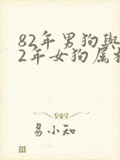 82年男狗与82年女狗属相婚配