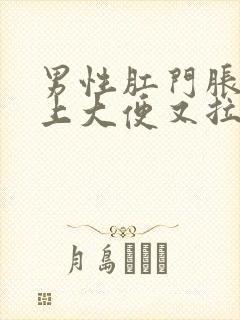 男性肛门胀痛想上大便又拉不出