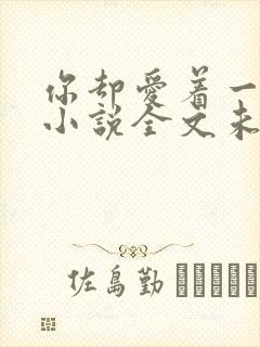 你却爱着一个他小说全文未删减免费