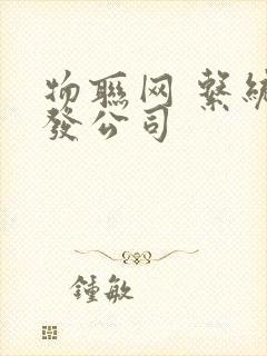 物联网 系统开发公司