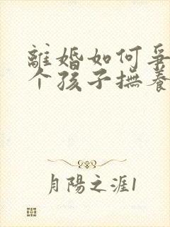 离婚如何争取两个孩子抚养权封面