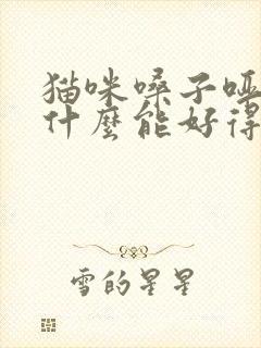 猫咪嗓子哑了吃什么能好得快一些