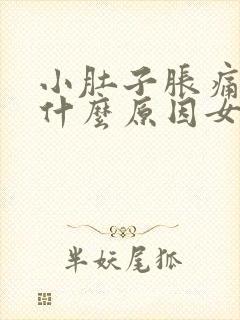 小肚子胀痛腰痛什么原因女性封面