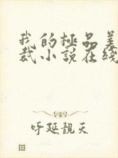 我的极品美女总裁小说在线收听封面