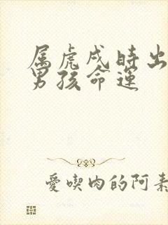 属虎戌时出生的男孩命运封面