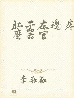 肚子左边疼是什么器官