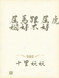 属马跟属虎的婚姻好不好封面