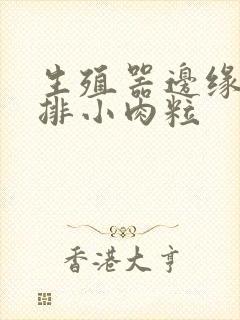 生殖器边缘有一排小肉粒