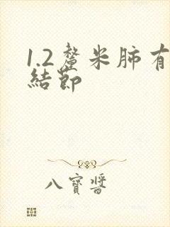 1.2厘米肺有结节