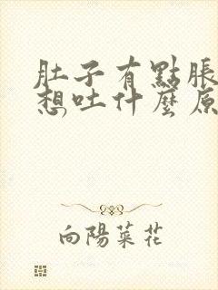 肚子有点胀有点想吐什么原因