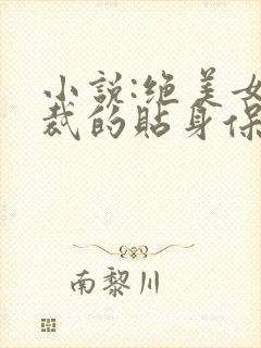 小说:绝美女总裁的贴身保安