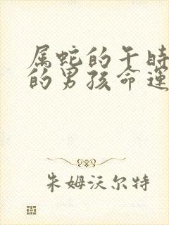 属蛇的午时出生的男孩命运