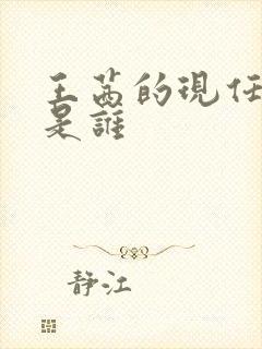 王茜的现任丈夫是谁封面